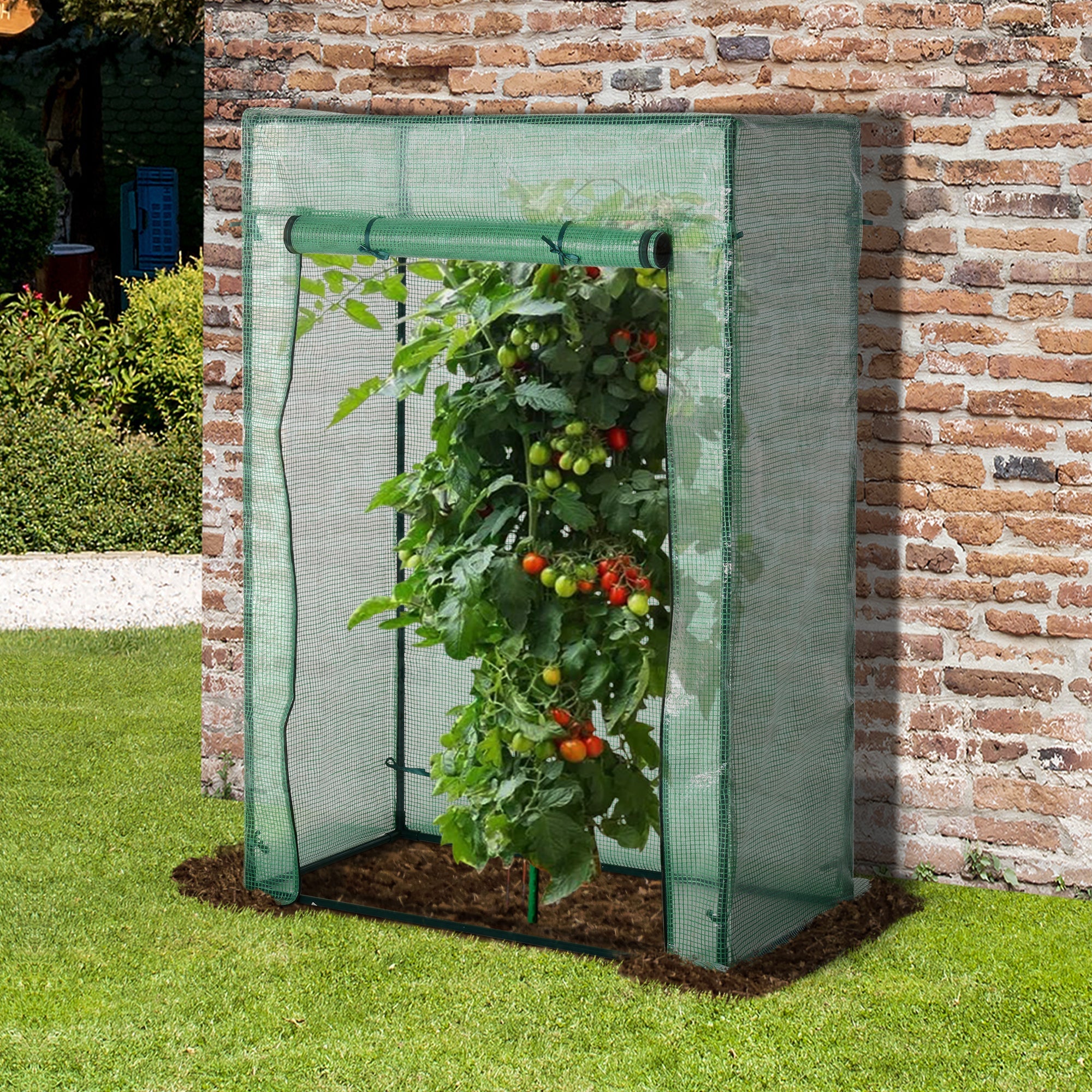 100 x 50 x 150cm Greenhouse Steel Frame PE Cover with Roll-up Door Outdoor for Backyard, Balcony, Garden, Green-1