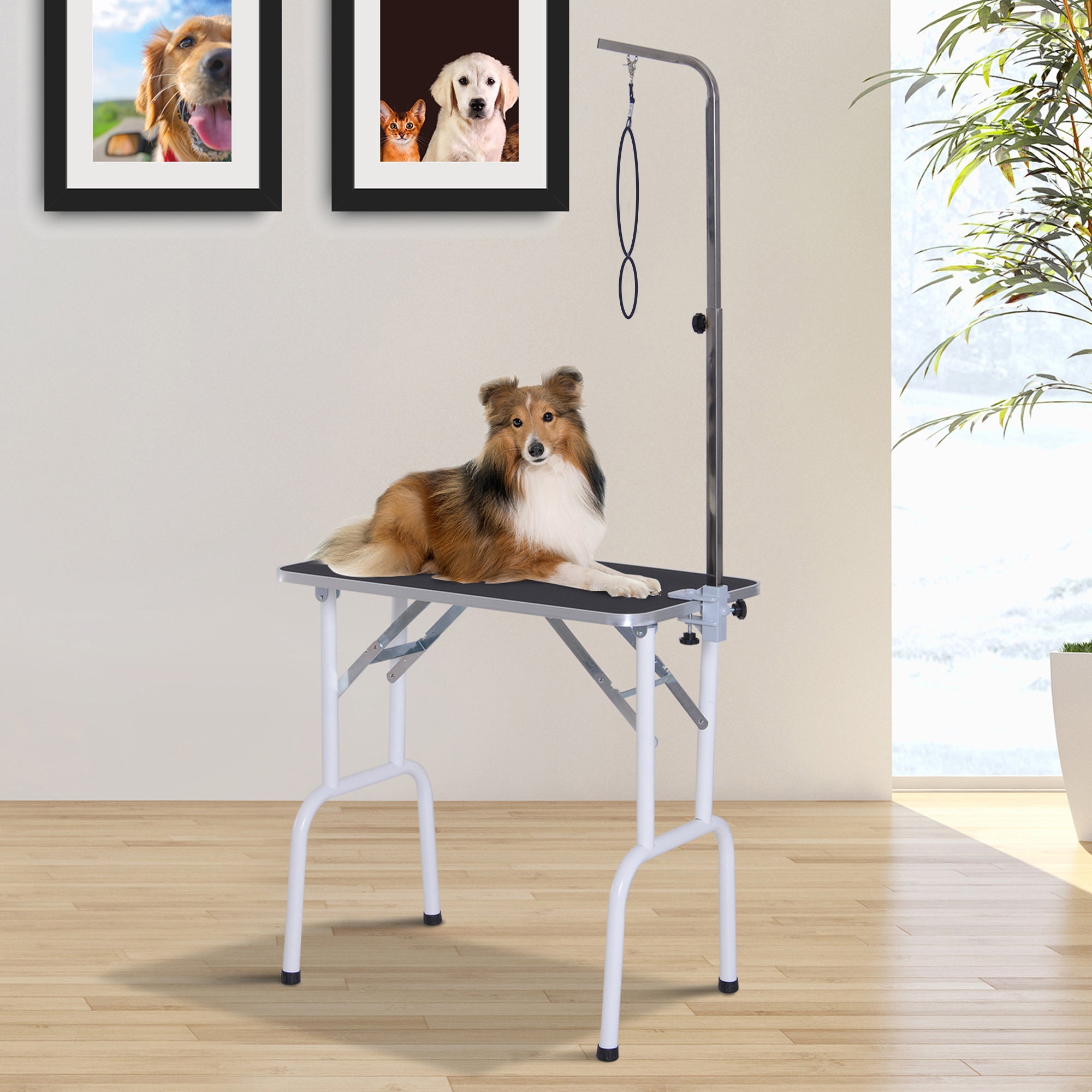 Folding Pet Grooming Table for Small Dogs with Adjustable Grooming Arm Max Load 30 KG, 81x48.5x80 cm-1